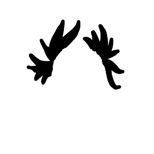 hair-1