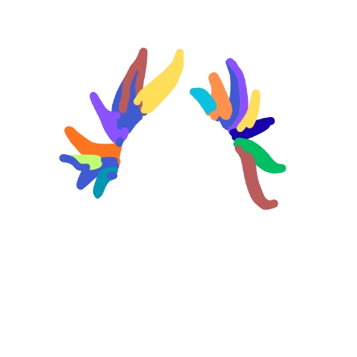 hair-2